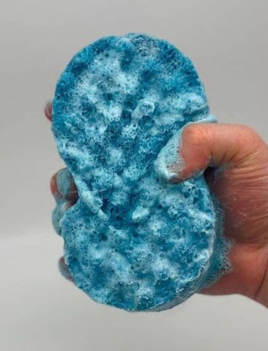 Kreed exfoliating soap sponge